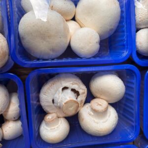 Fresh Button Mushrooms